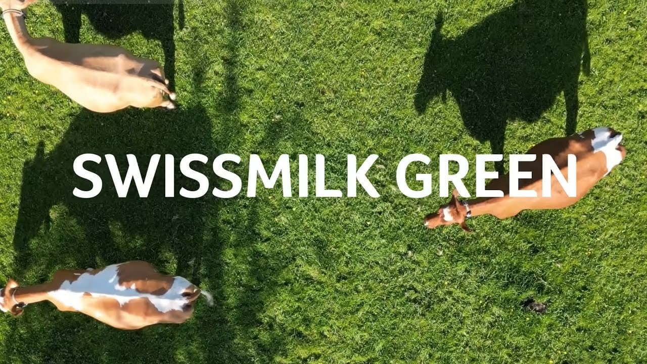 Swissmilk