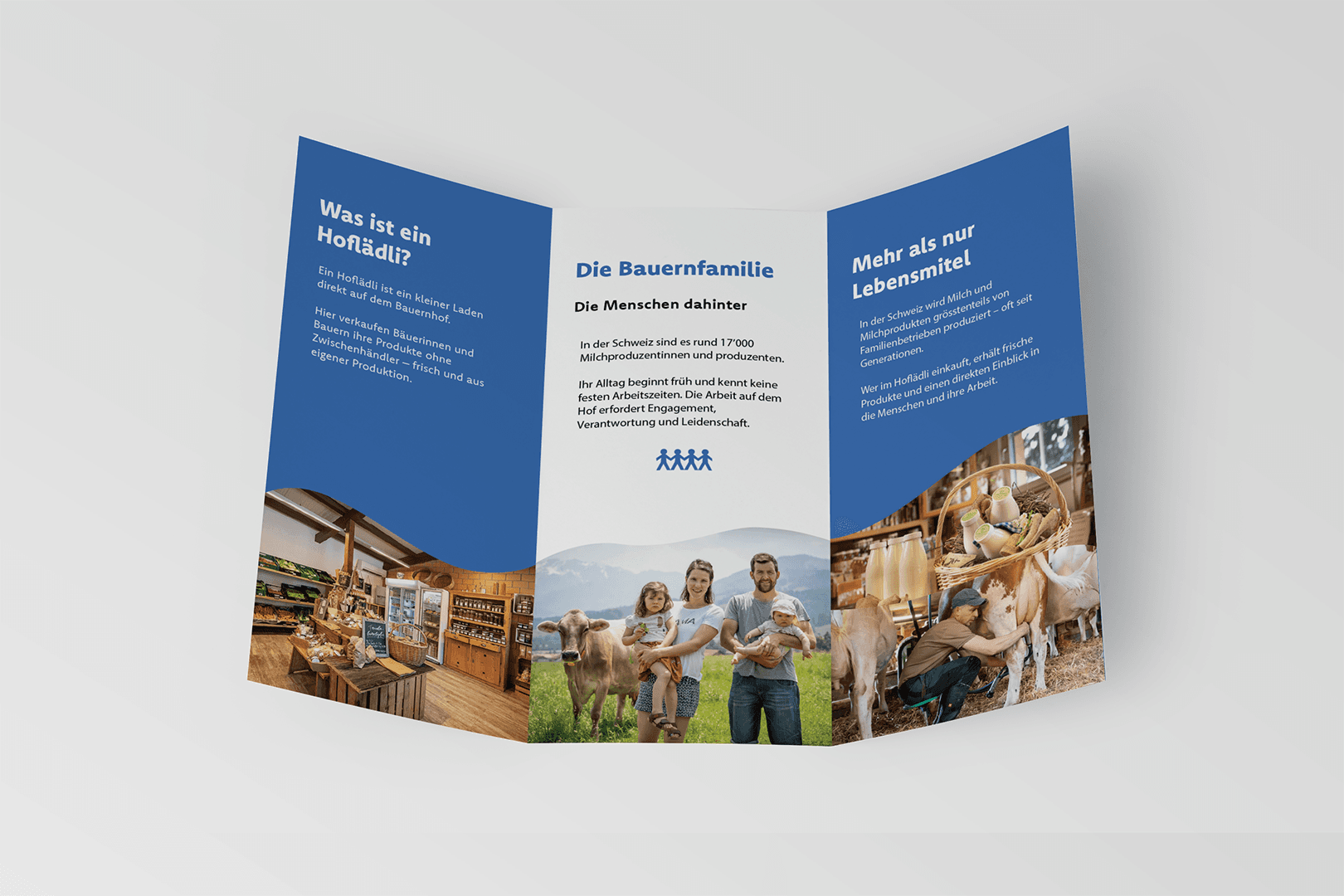 Swissmilk Brochure